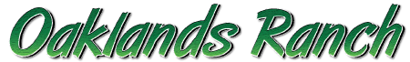 MyCuisine Logo